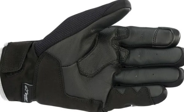 Alpinestars Motorhandschoenen-ax Drytar Gove White 12