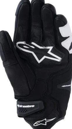 Alpinestars Motorhandschoenen-p-R Tech Gove Back