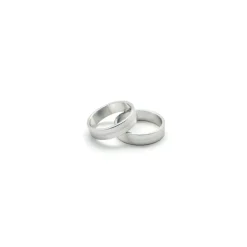 Barracuda Motor Onderdelen-Barend Ring Insert - Silver (Pair) N2000-RA