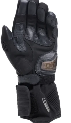 Dainese Motorhandschoenen-Fune Gore-Tex Thera Gove Back