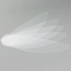 Scorpion Tear-Offs|Carbon Helmen-Tear-Off EXO-R1 Air/Carbon Air (5 stuks)